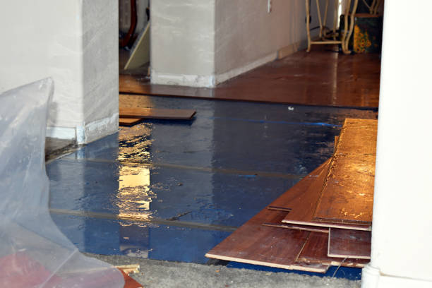 Professional Water Damage Restoration technician working in Sheldon, IL